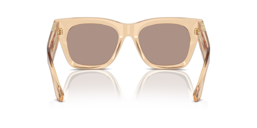 Occhiali da sole Burberry 0BE4424 Marrone - 0BE4424 40635A