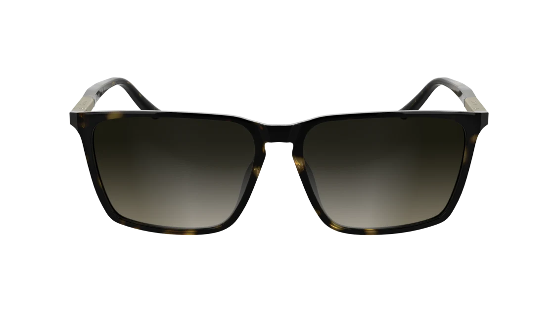 calvin klein - ck25505s 240